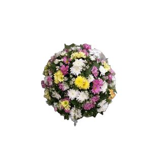 Mix Chryshanthemum Posy