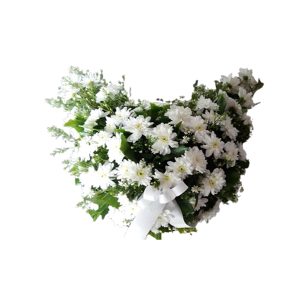 White Chrysanthemum Cresent