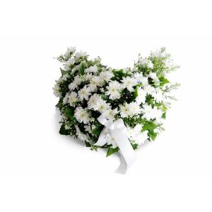White Chrysanthemum Cresent