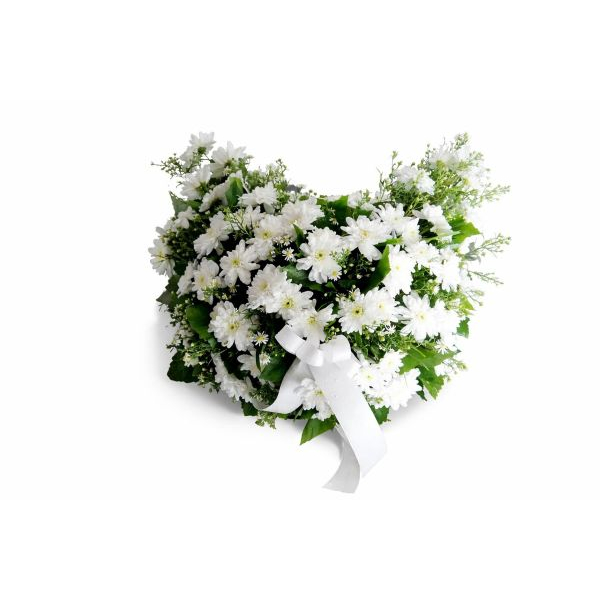 White Chrysanthemum Cresent