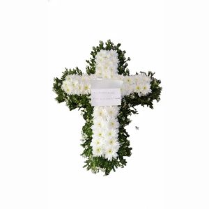 Chrysanthemum Cross