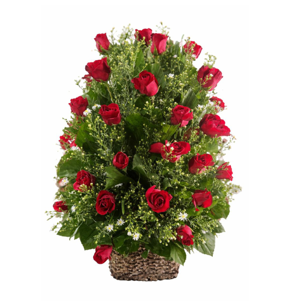 Royal Contrast