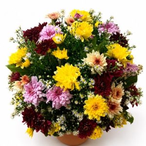 Rustic Bloom